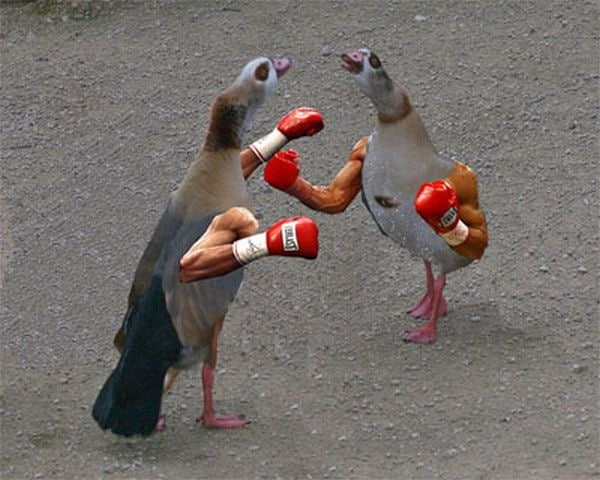 111